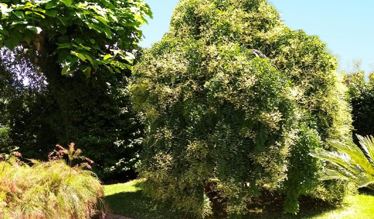 Villa Laura Cisterna di Latina Kültér fotó